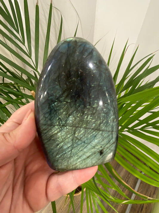 Forme libre - Labradorite (LAB16)