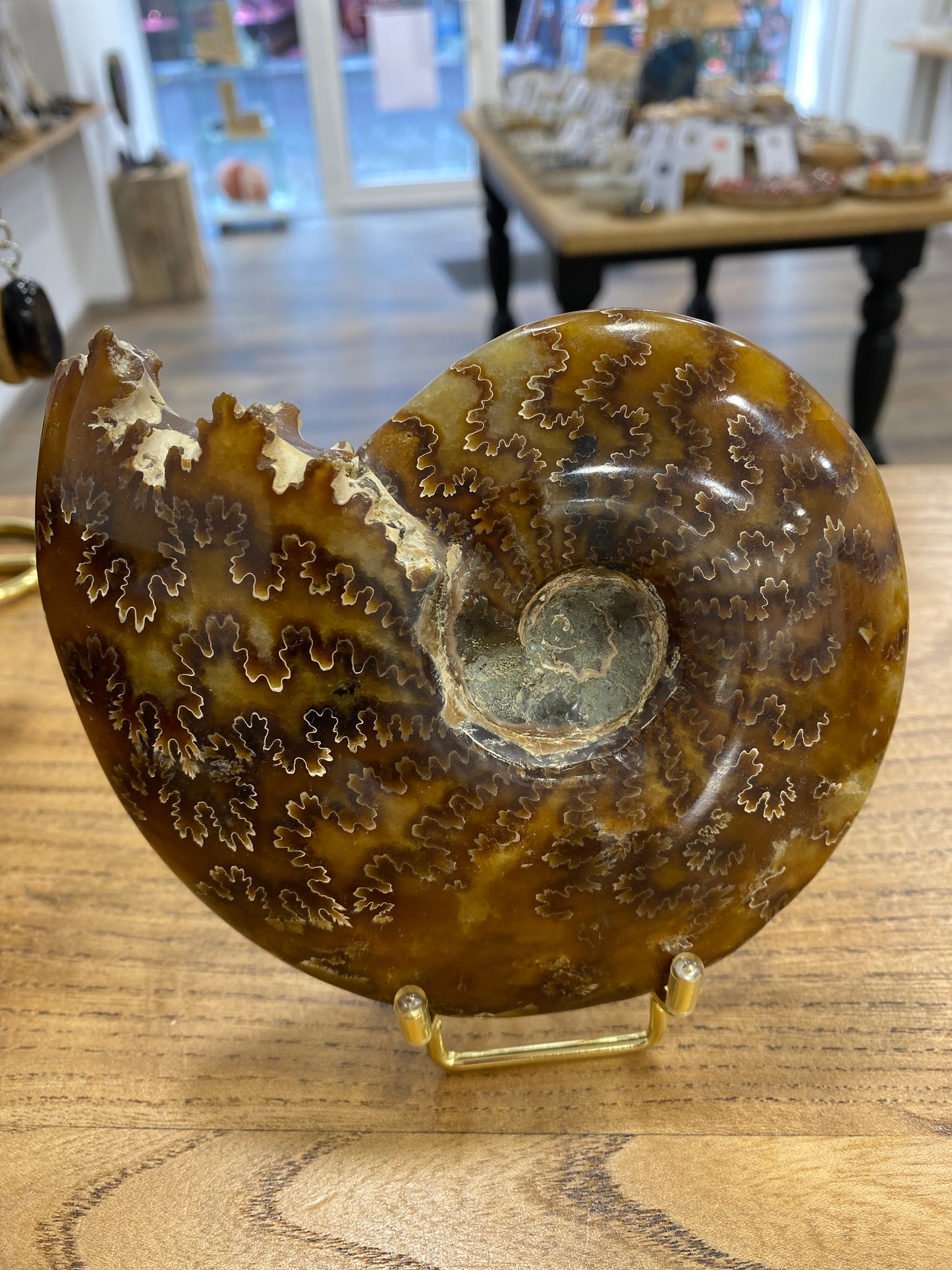Ammonite (AMO-1)