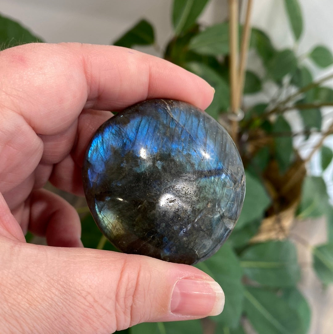 GALET - LABRADORITE