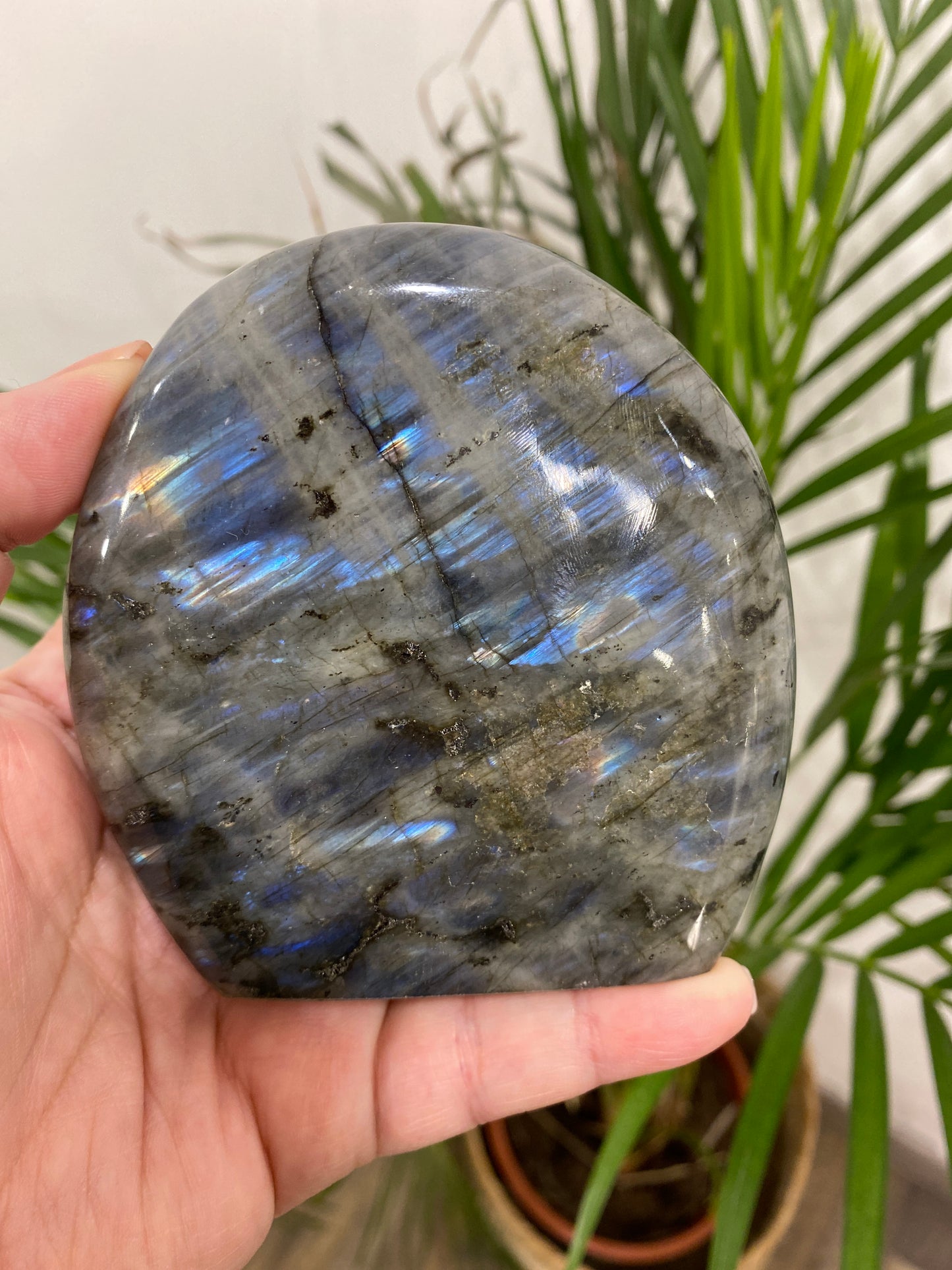 Forme libre - Labradorite (LAB8)