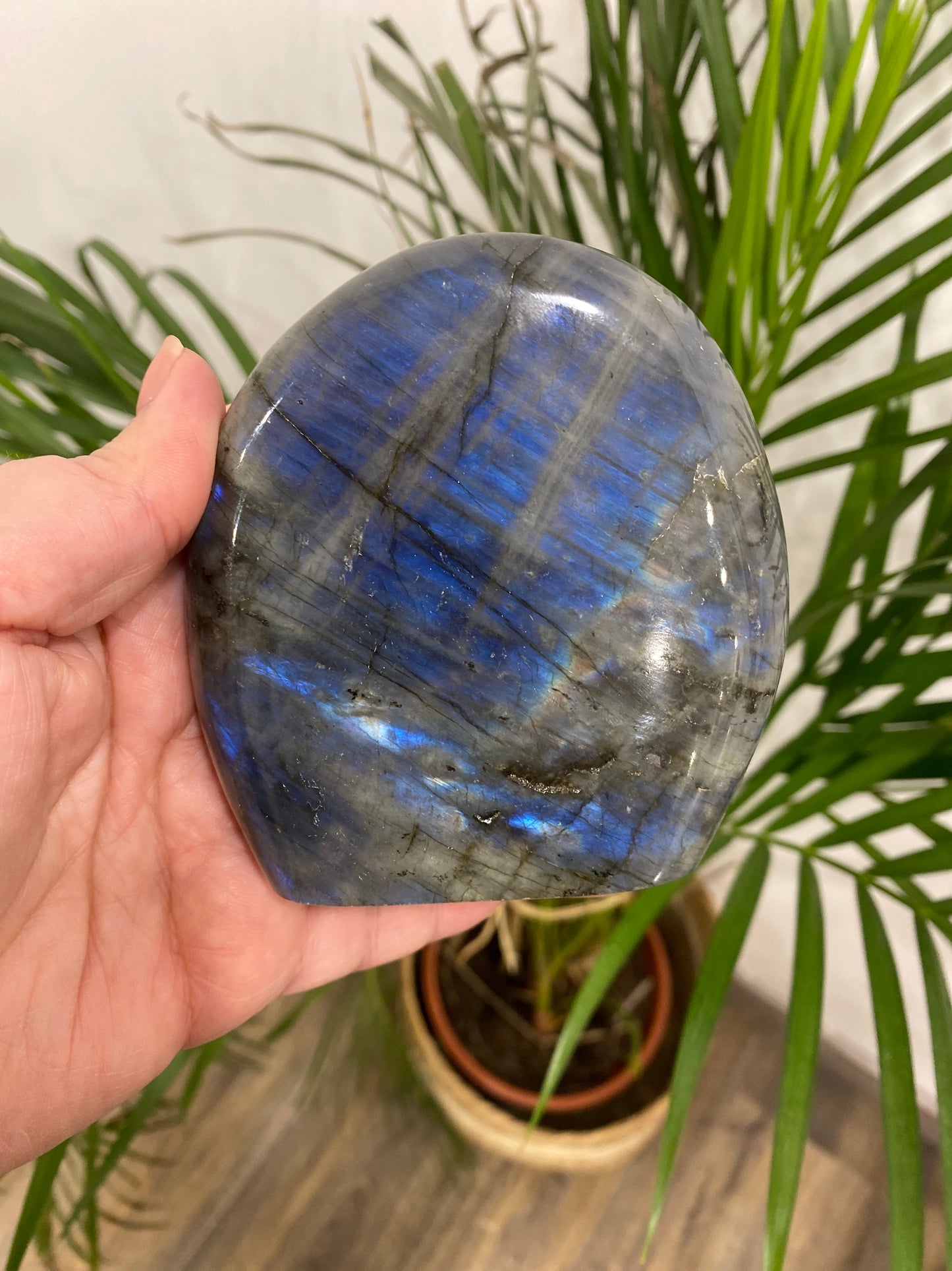 Forme libre - Labradorite (LAB8)