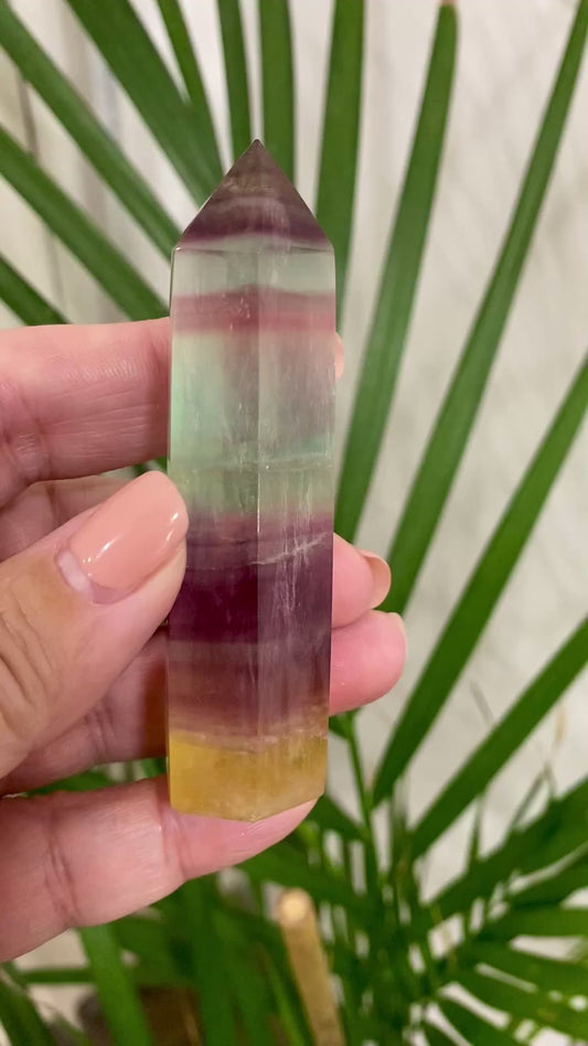 Pointe Fluorine melon d'eau (PFLU4)