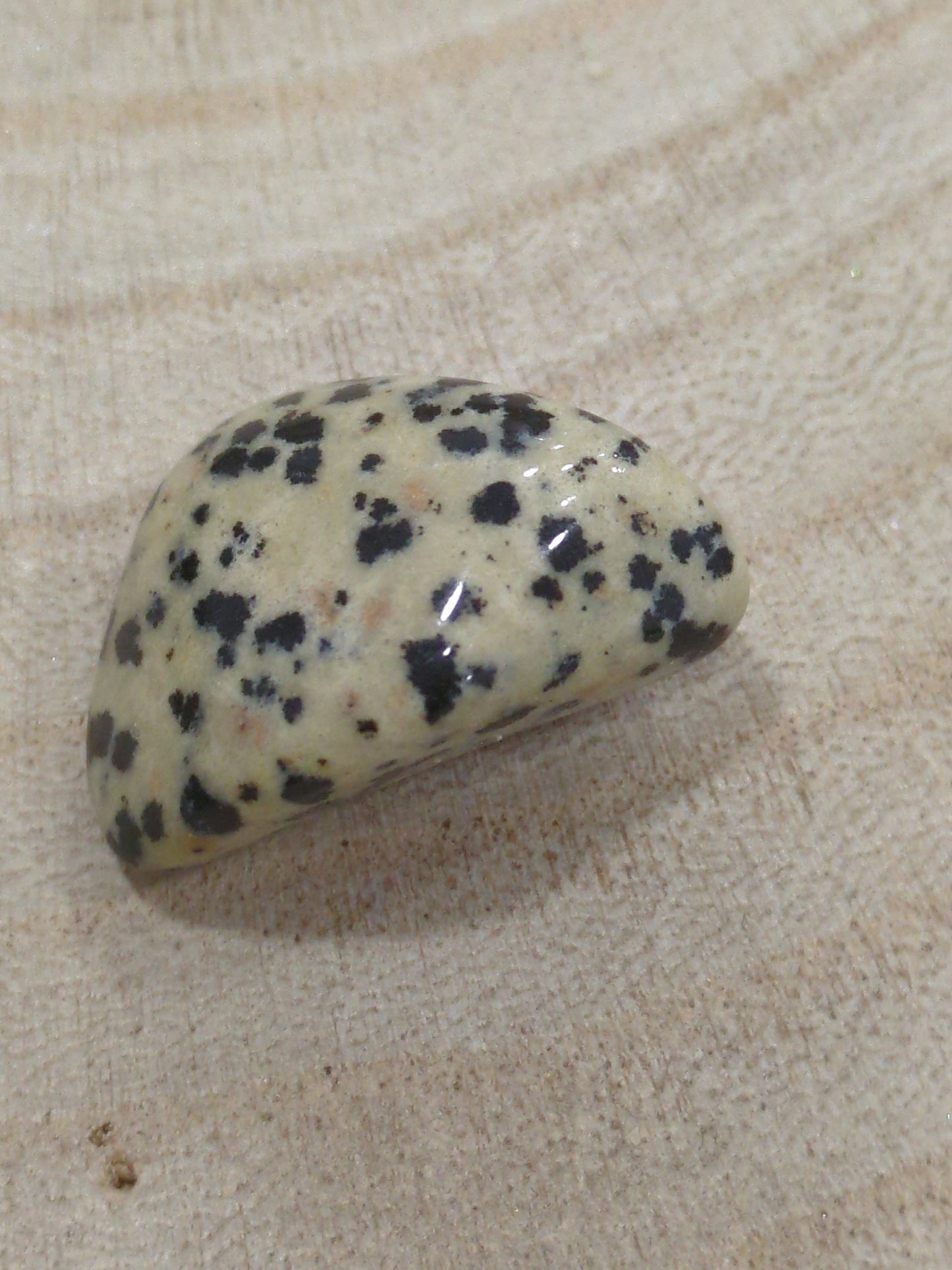 Pierres roulées Jaspe Dalmatien