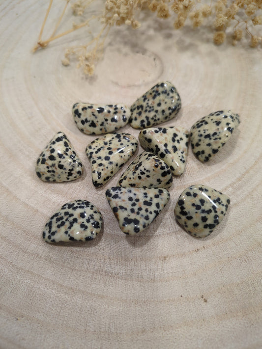 Pierres roulées Jaspe Dalmatien